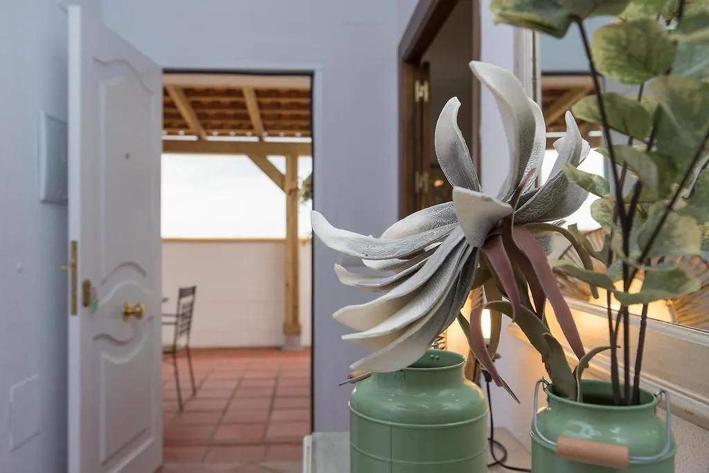 Bellavista Holiday home Conil De La Frontera